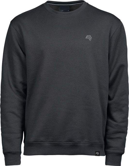 TJS 5429 ― Weiches Heavy Sweatshirt - Dark Grau